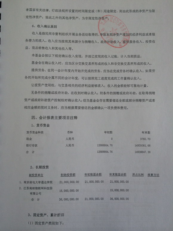 2010年度审计报告
